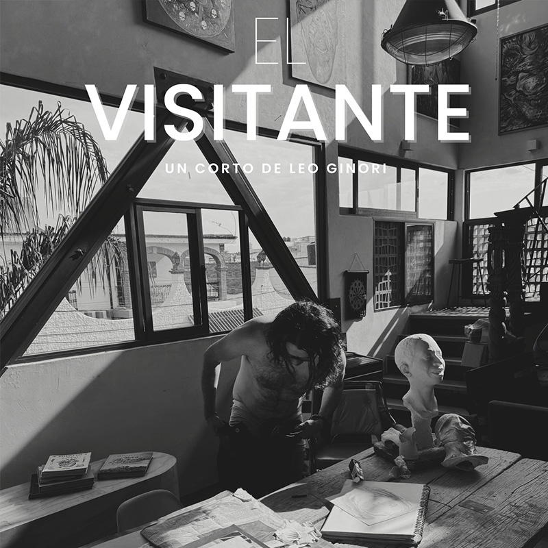 Affiche du film El visitante