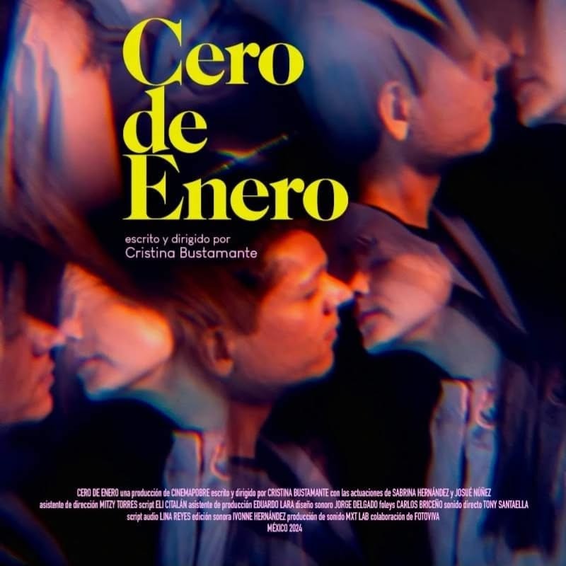 Affiche du film Cero de enero
