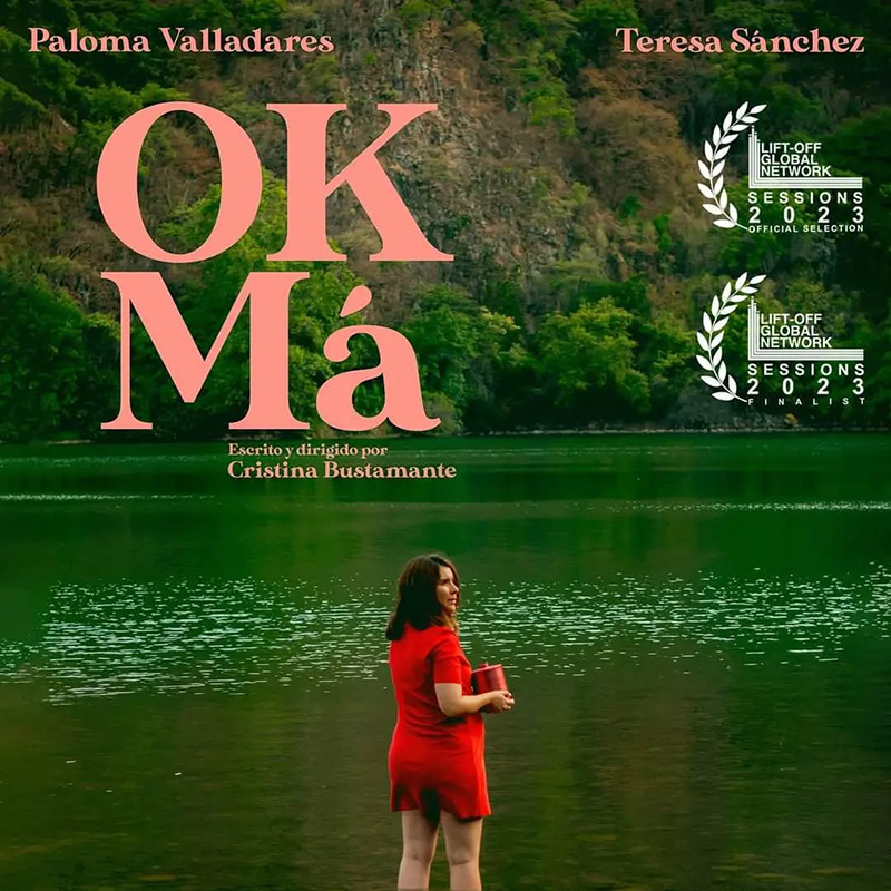 Affiche du film OK, Má